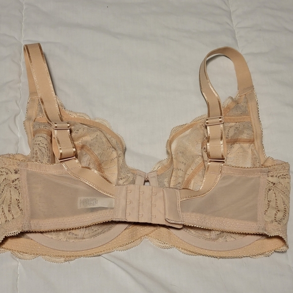 Felina Paramour Women's Peridot Unlined Lace Bra 32DDD in Sugarbaby - Picture 2 of 5